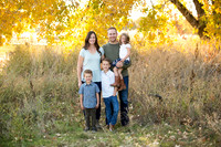 Emerick Family 2017